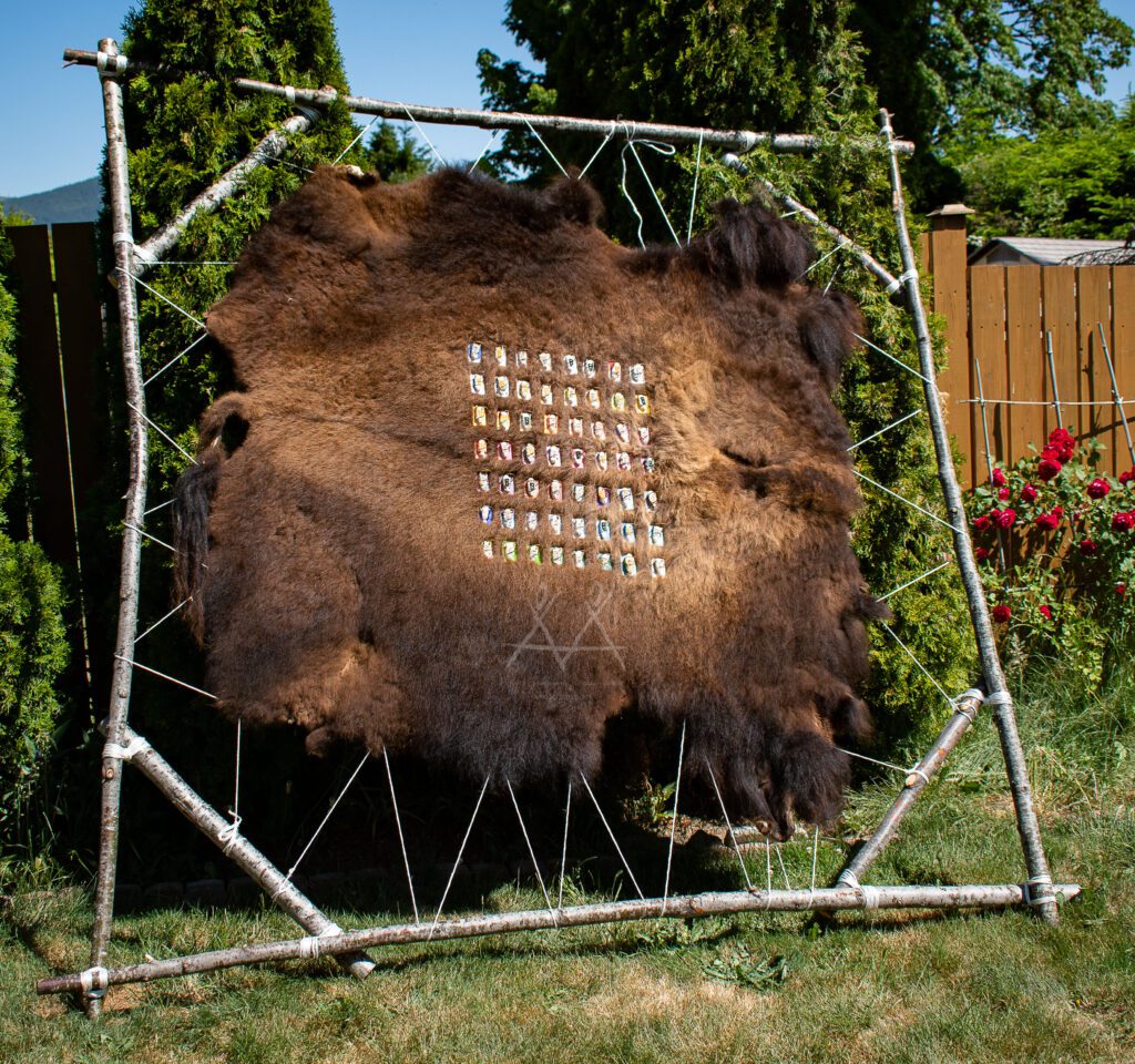 Big Buffalo Hide