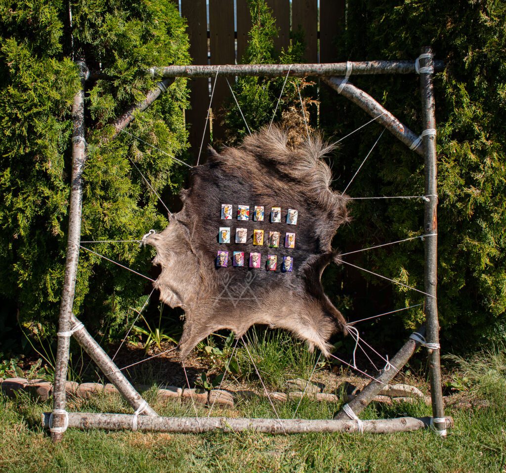 Moose Hide